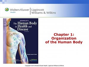 Chapter 1: Organization of the Human Body - SlideServe
