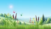 Sunny day blooming spring meadow with butterflies. 2D 4K UHD video...