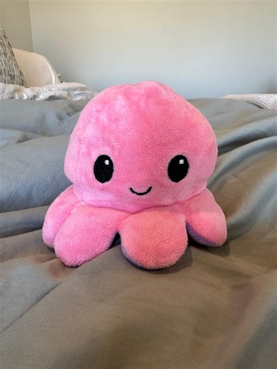 Watch Reversible Plushie Octopus, Makes Happy and Angry Face on Amazon Live