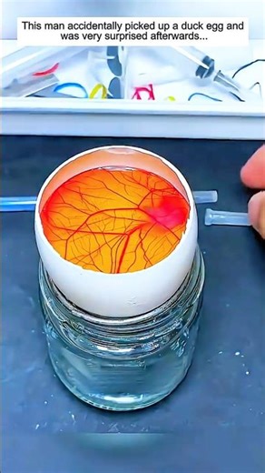 #ninjago #legoninjago #fnf #edit #lego #phonk