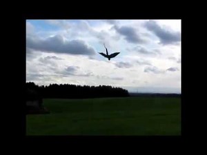 RC - Vectorkite 44 * How to train Your 300cm RC - Dragon Vectorkite *