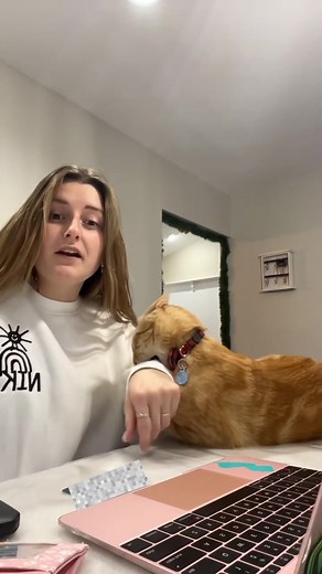 typical #orangecat #orangecatsoftiktok #macattack #orange #macaroniand... | Orange Cat Behavior