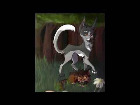 The 10 Most Evil Warrior Cats