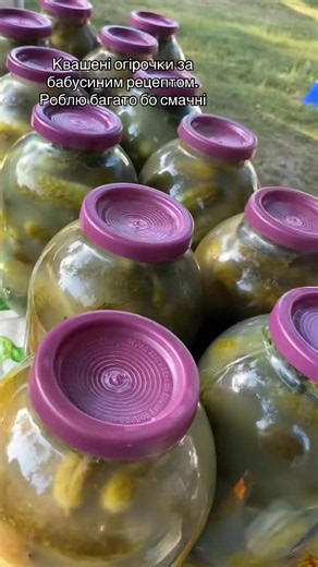ЦЬОГО ДНЯ: Тренди ТікТока та рекомендації — летимврек