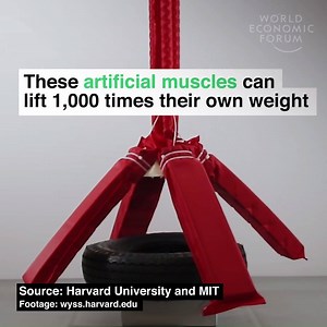 121K views · 1K reactions | 6 times more powerful than your muscles....