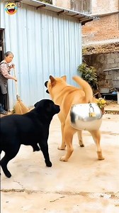 😂 “Lock Ka Shock!” # shorts # funny shorts