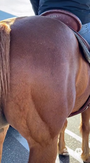 1.1K views · 11 reactions | Don’t worry! It’ll buff out.  Thornton Chrysler Dodge Jeep Ram | Jeepin’ with John | Facebook