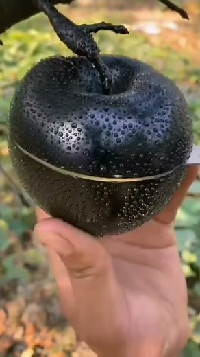 Black Diamond Apple