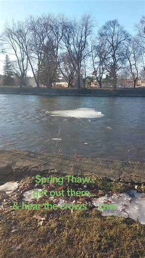 loving the sights n sounds.. hope you are out there enjoying them too.. if you cannot get out n about on your own.. give me a shout.. I will help you get out n about.. and enjoy this beautiful life we have been given.. Don't waste it on your butt.. get out there and strutt your stuff!! #spring #walk #city #guelph #ontario @CityofGuelph @Ontario Nature @Ontario Road Tripping