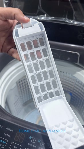 Washing Machine Filter (Remove, Clean, Attach)
