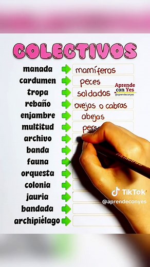 Tipos de Sustantivos Colectivos en Español