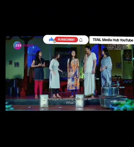 Amulya's Wedding Series on Zee World