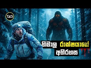 හිමාලයේ සැඟවුණු "යෙටි" (Yeti) අභිරහස අදින් අවසන් ද?! | Yeti mystery Solved