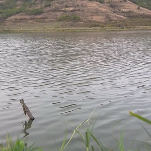 17K views · 229 reactions | Matrix Ethos XR Power - Proiectat pentru partidele ce vizeaza trofee sau cantitati impresionante | Fish Matrix | Facebook