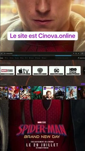 Site de streaming gratuit et en français #anime #phonk #streaming #site #netflix #waifu #series