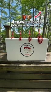 1M views · 10K reactions |  ALL SIZES NOW AVAILABLE  sizes are...