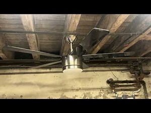 52" Home Decorators Collection Merwry ceiling fan