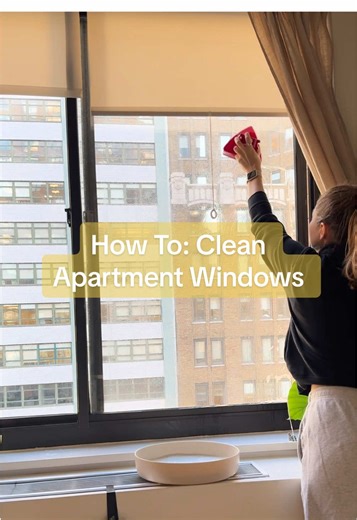 Magnetic Window Cleaner: A Game-Changer for Homeowners