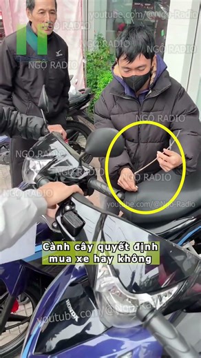 The branch of the tree decides whether or not to buy a car.