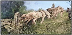 Horses pulling cart