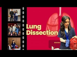 LUNG Dissection by ‪@medconnectsoverseas‬ 🫁🤌🏻