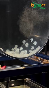 1.6M views · 7.4K reactions | ❤️Jellyfish Interesting Facts❤️...