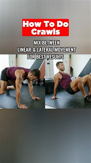 BACK TO BASICS- Day 17: Crawls for Shoulder & Core Strength #Fitness #Workout #Gym #Core