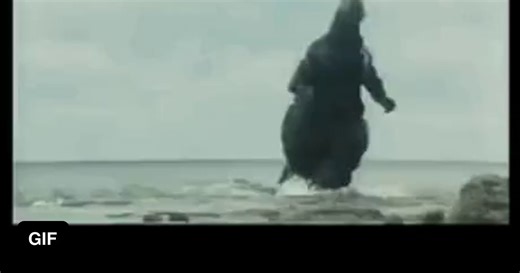 Show me your best godzilla stroke meme - GIF