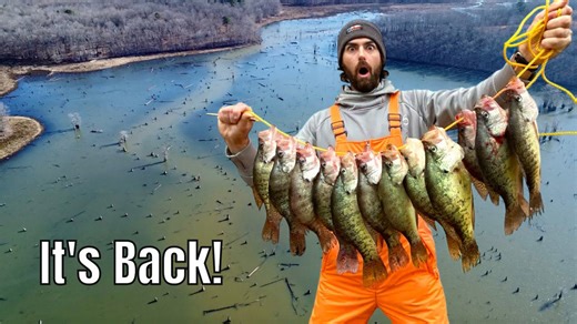 Lake levels return leading to a massive slab crappie harvest