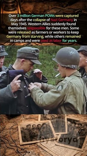 3 Million Mouths to Feed 🥣 #ww2 #german #pow #historyshorts #history #warshorts #warhistory