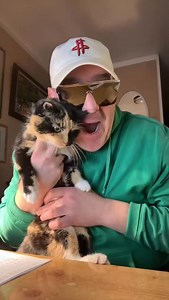 #cat #winter #estonia #eestimuusika #beautiful | Vjatseslav Rätsepp