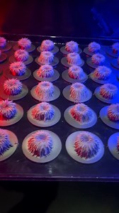 6K views · 20 reactions | Crazy magnets 鱗 | Everyday Life | Facebook