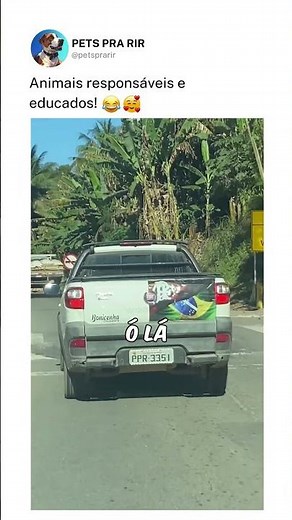 Animais responsáveis e educados!❤️🐶