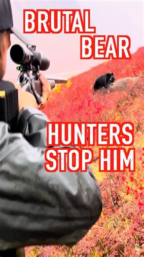 BRUTAL BEAR ATTACKS CARIBOU! BIG MISTAKE!! #eberlestock