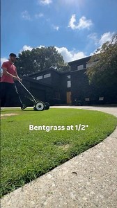 Reel mowing bentgrass @ 1/2"