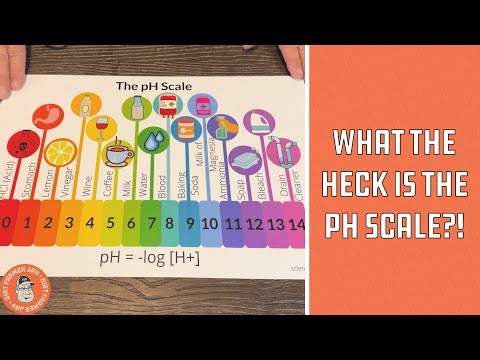 Understanding the pH Scale | Acids vs Bases Explained with Real-Life Examples