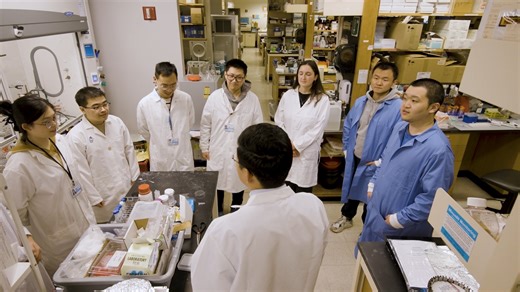 Applications are now open for the PhD Program in Health Sciences &...