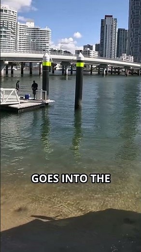Aquaduck City and Water Tour on the Gold Coast