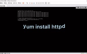 用一条命令在linux操作系统上搭建web服务器