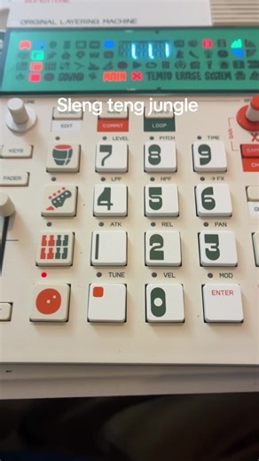 Sleng Teng Jungle: A Riddim Journey