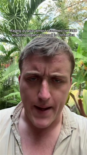 Avoiding Scams When Buying Organic Broccoli in Costa Rica
