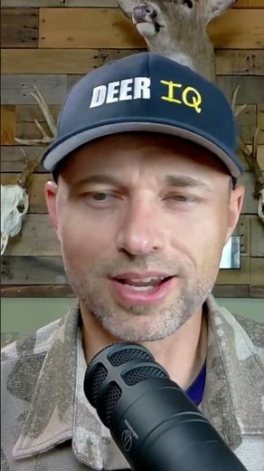 ONE Whitetail Principle You MUST Know! #hunting #deerhunting #bowhunting