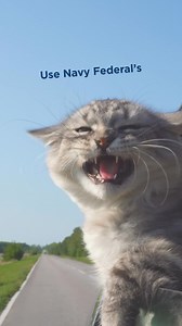 756 reactions · 4 comments | Feel the freedom of knowing what’s affordable. Our auto loan calculators can help determine price ranges. | Navy Federal Credit Union | Facebook