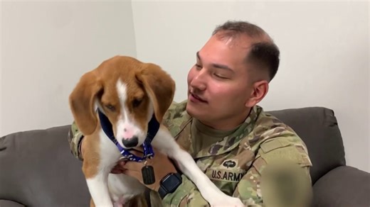 'Paws of War' reunites soldiers with rescued pets