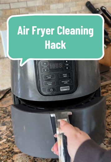 Air Fryer Cleaning Hack for Greasy Baskets