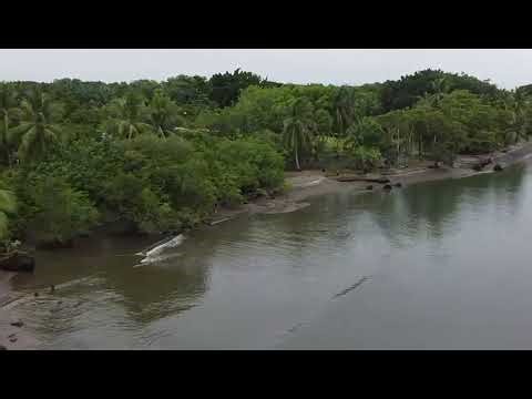 "Cabañas Don Beto" promocional La Palma de Puerto Jimenez #costaricazonasur #rentarcabañas