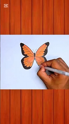 The ABSOLUTE BEST Way to Create a REALISTIC Butterfly Drawing