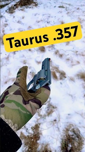 TAURUS REVOLVER