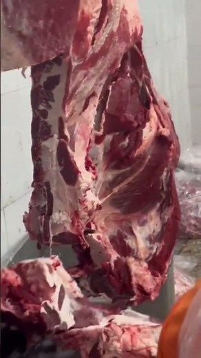 Video of beef slaughterhouse: Demonstration of beef cutting and trimming techniques