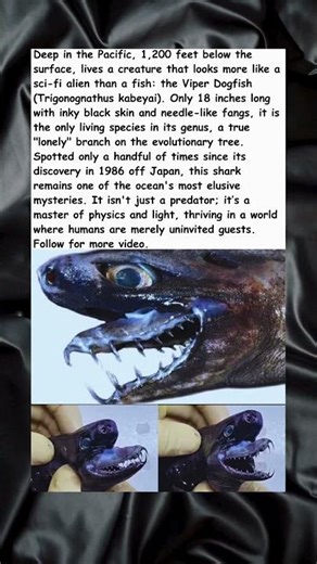 The Sci-Fi Shark Living 1,200 Ft Deep